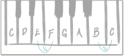 Layout of piano keys with showing only the half steps between E and F and B and C.